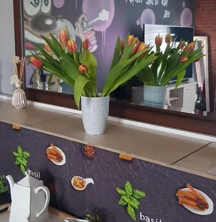 Apartamento Apartament Mirror Brick Studio Świętochłowice