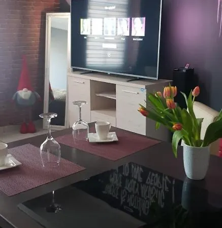 Apartamento Apartament Mirror Brick Studio *