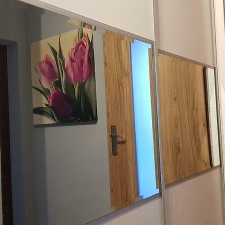 Apartament Mirror Brick Studio *